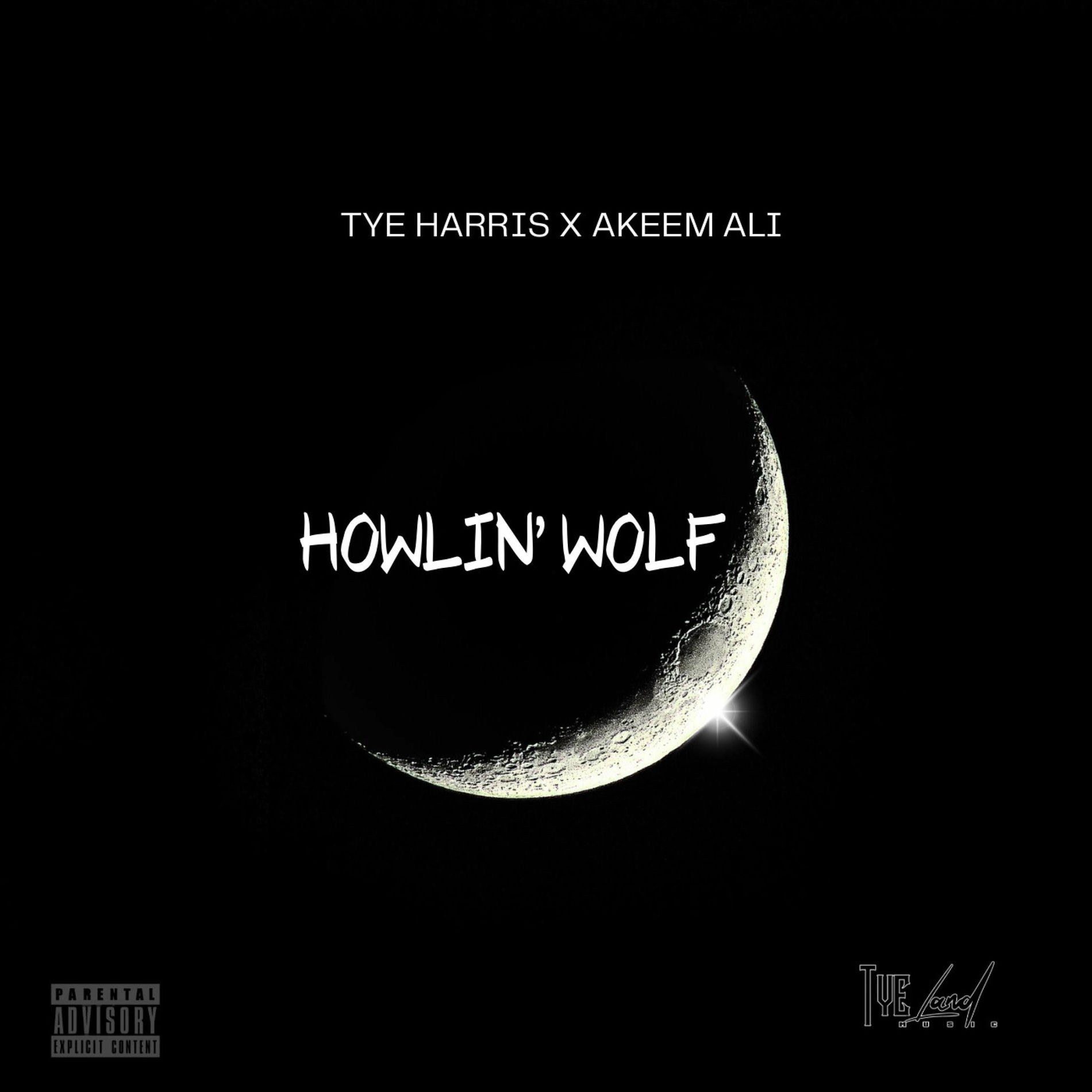 Album cover of Howlin Wolf
