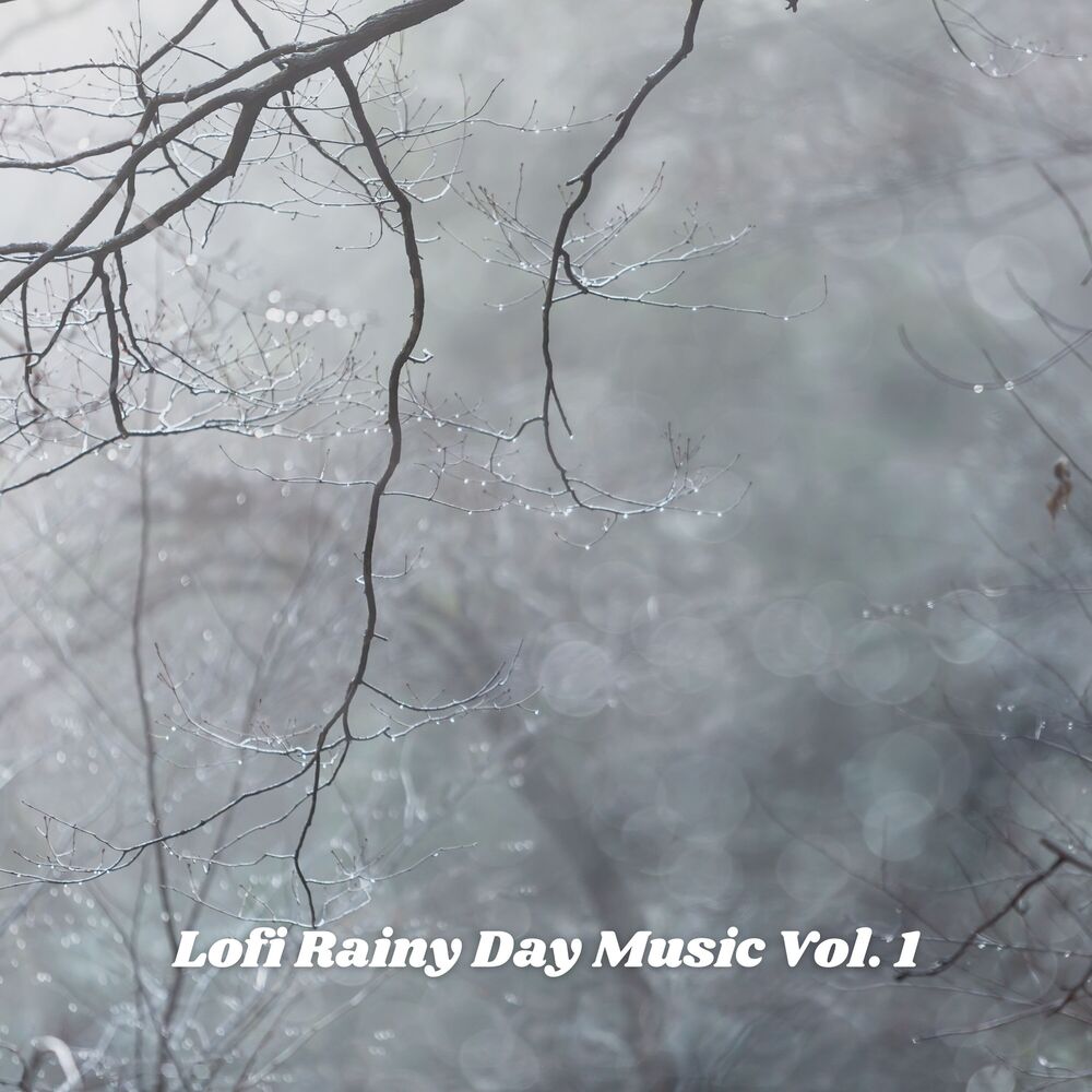 Picture of Lofi Rainy Day Music Vol. 1