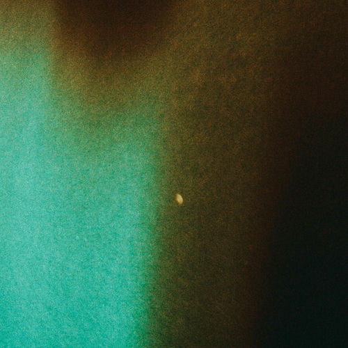 The Stray – aurora – Single