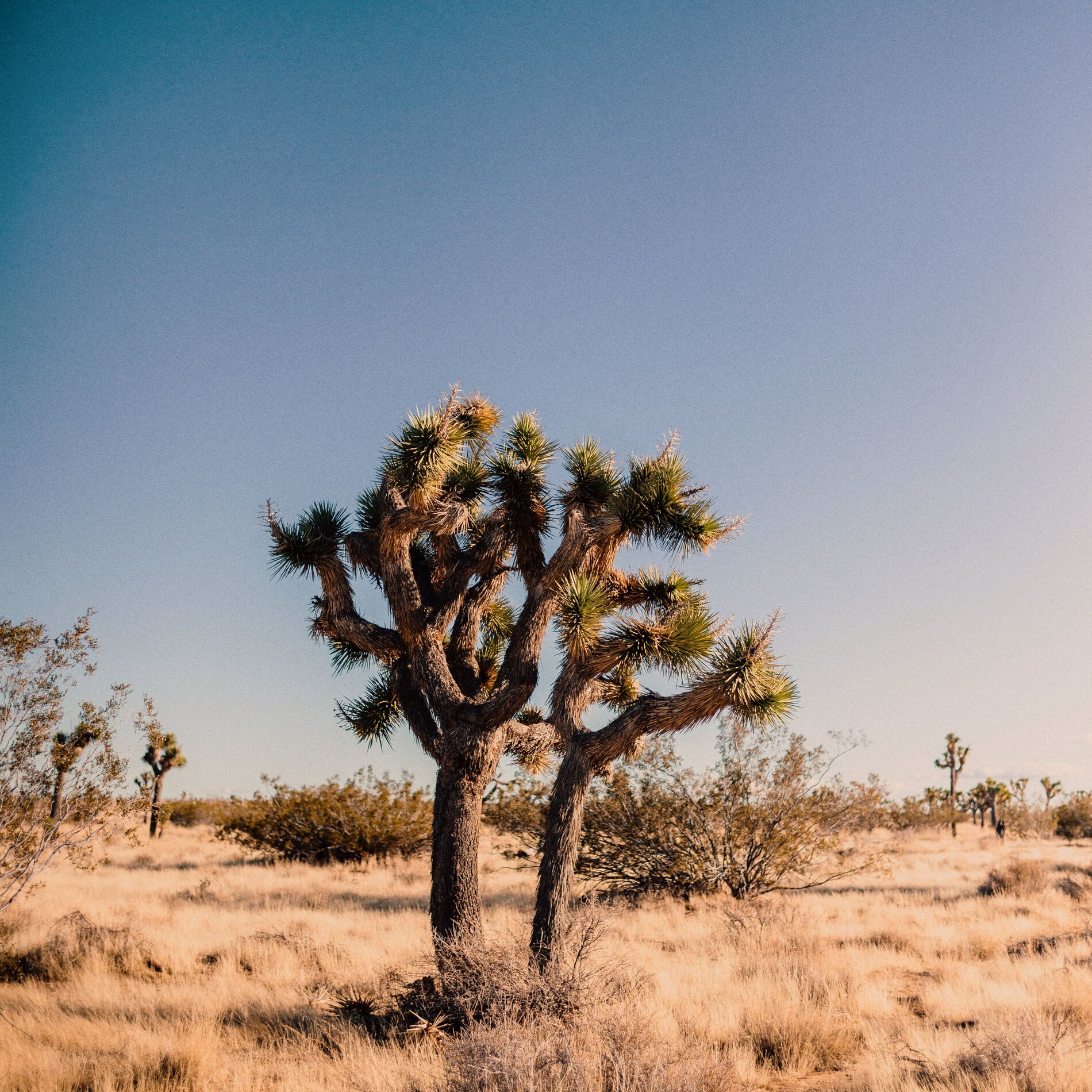 Album cover of Outside of Town