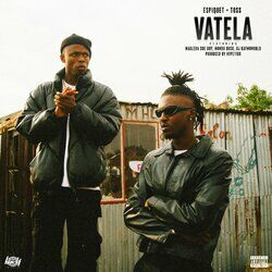 Cover of VATELA