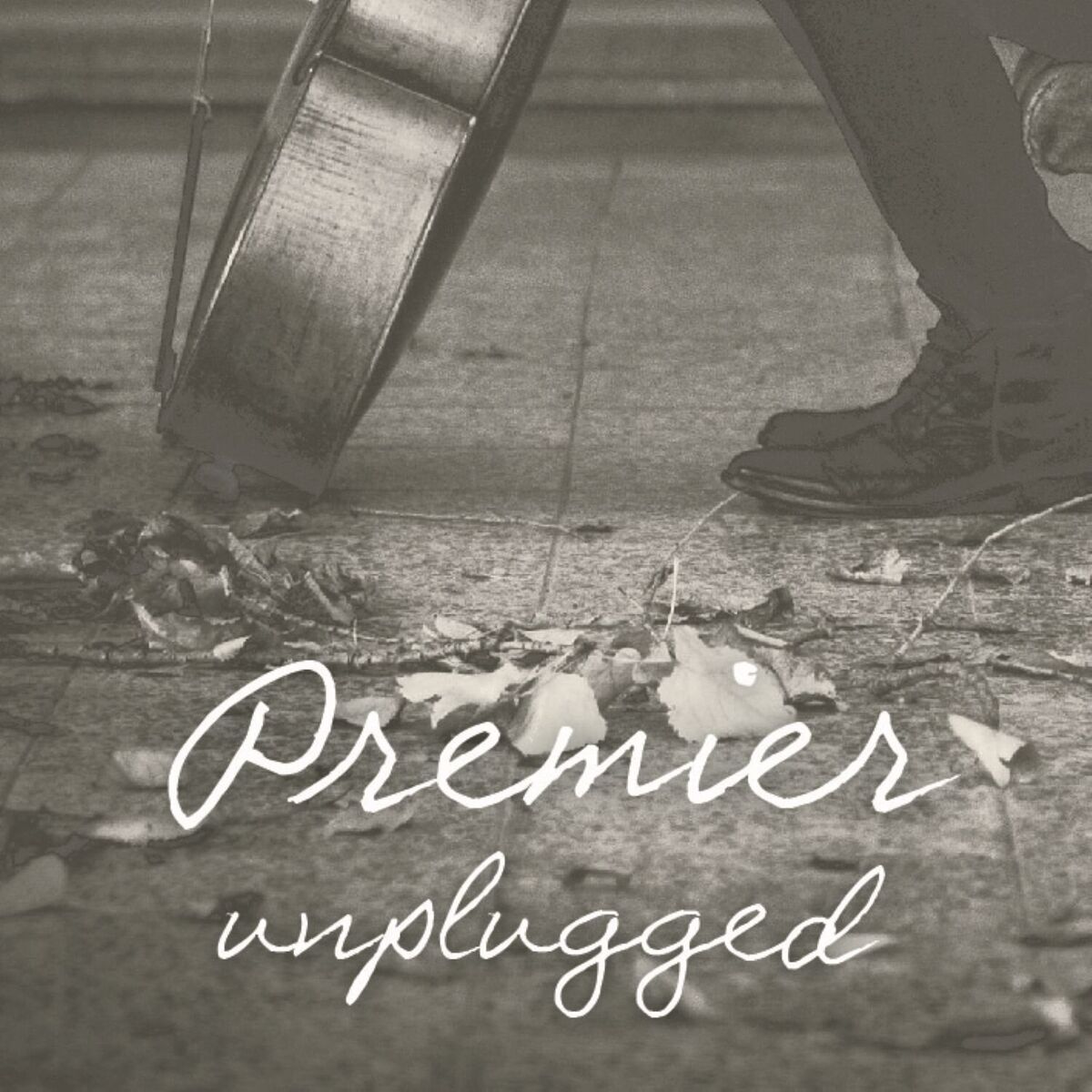 Album cover of Unplugged