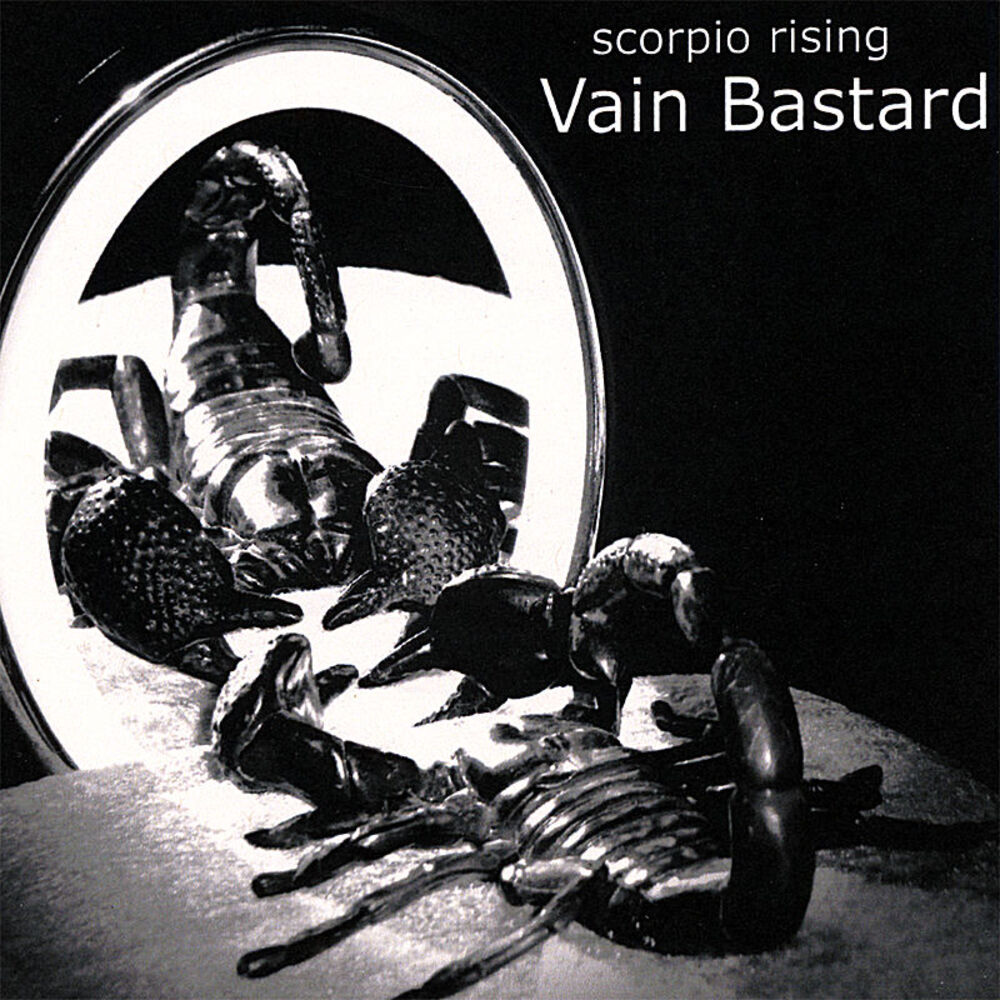 Picture of Vain Bastard
