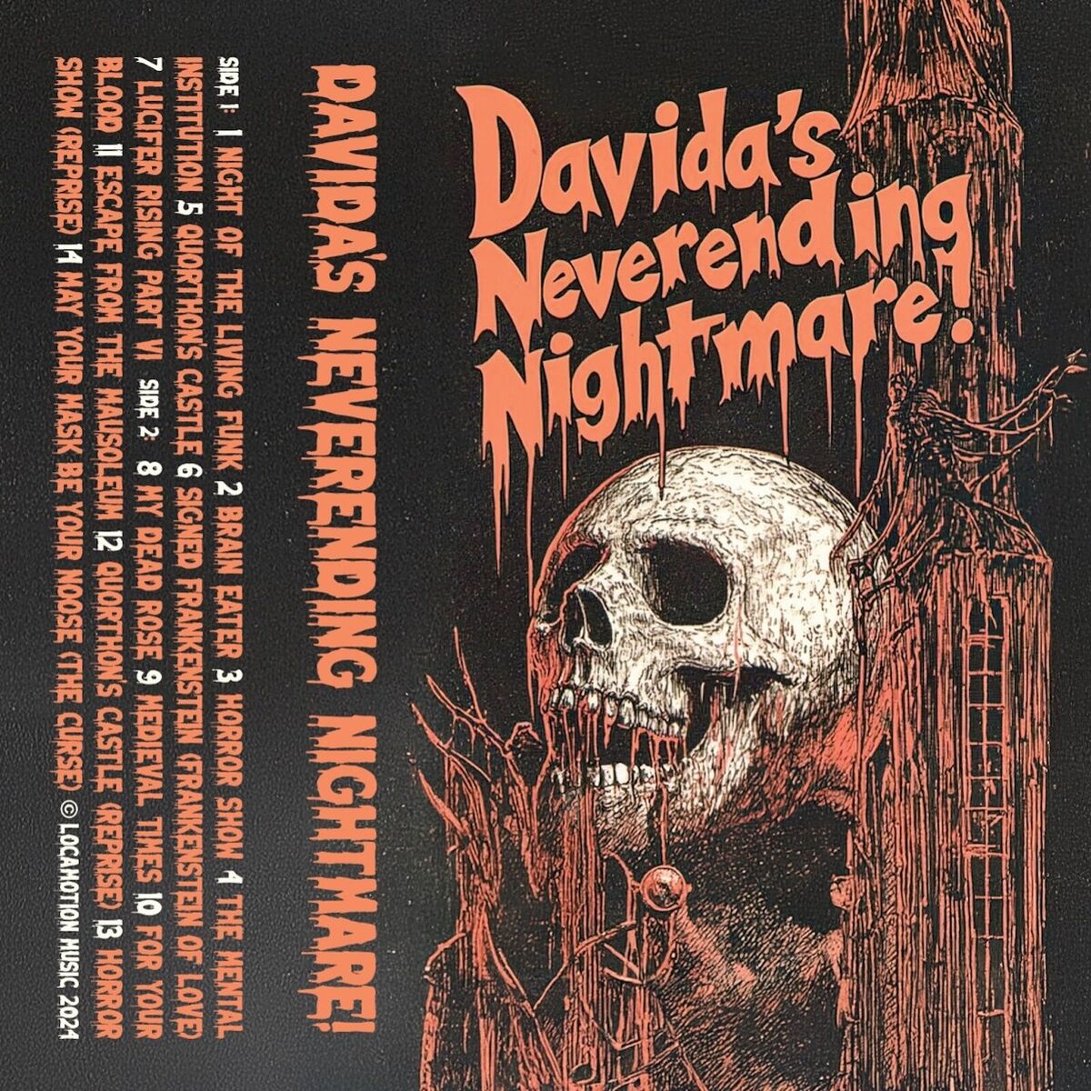 Album cover of The Mental Institution