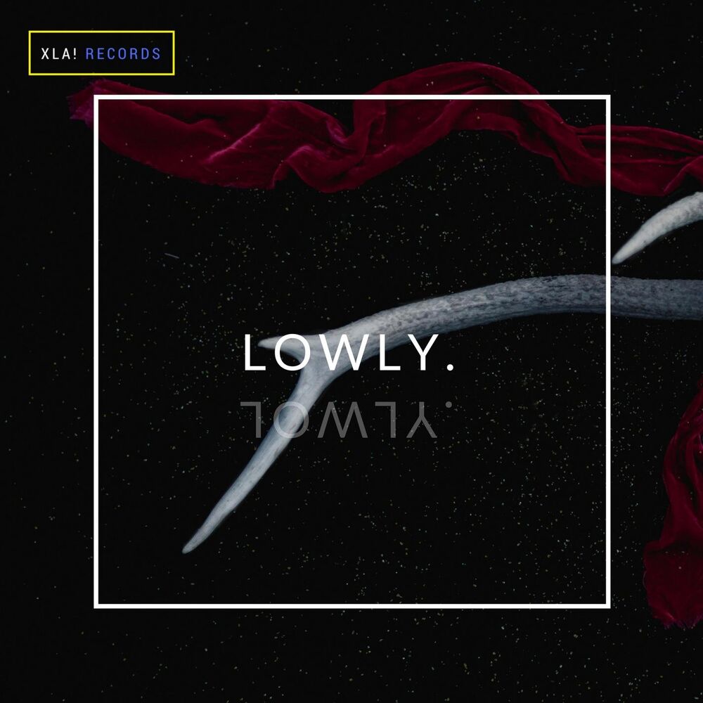 Picture of Lowly