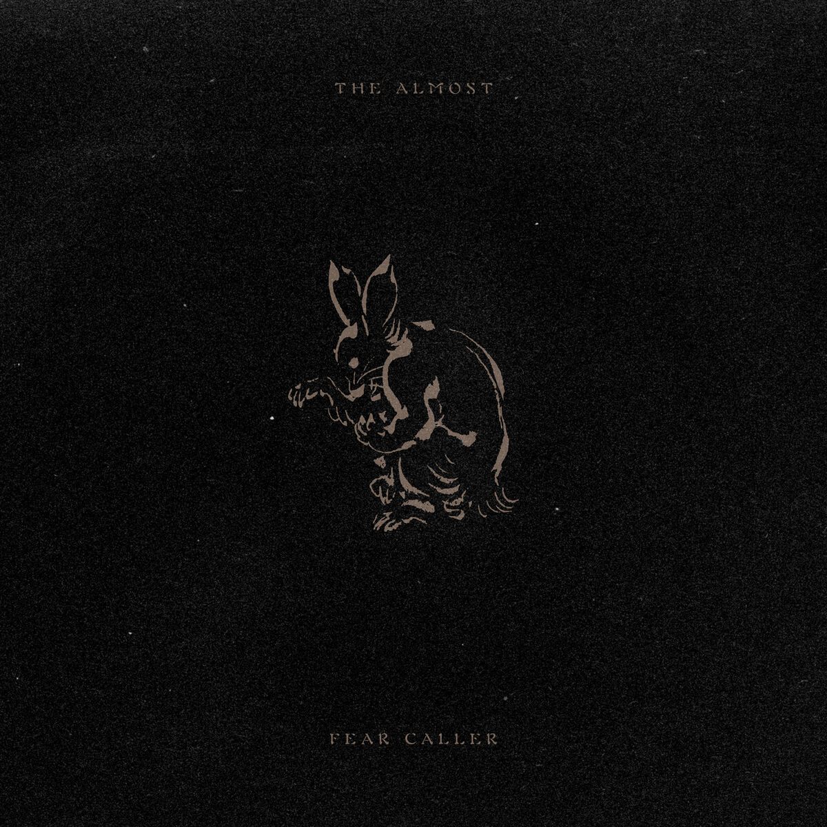 Album cover of Fear Caller