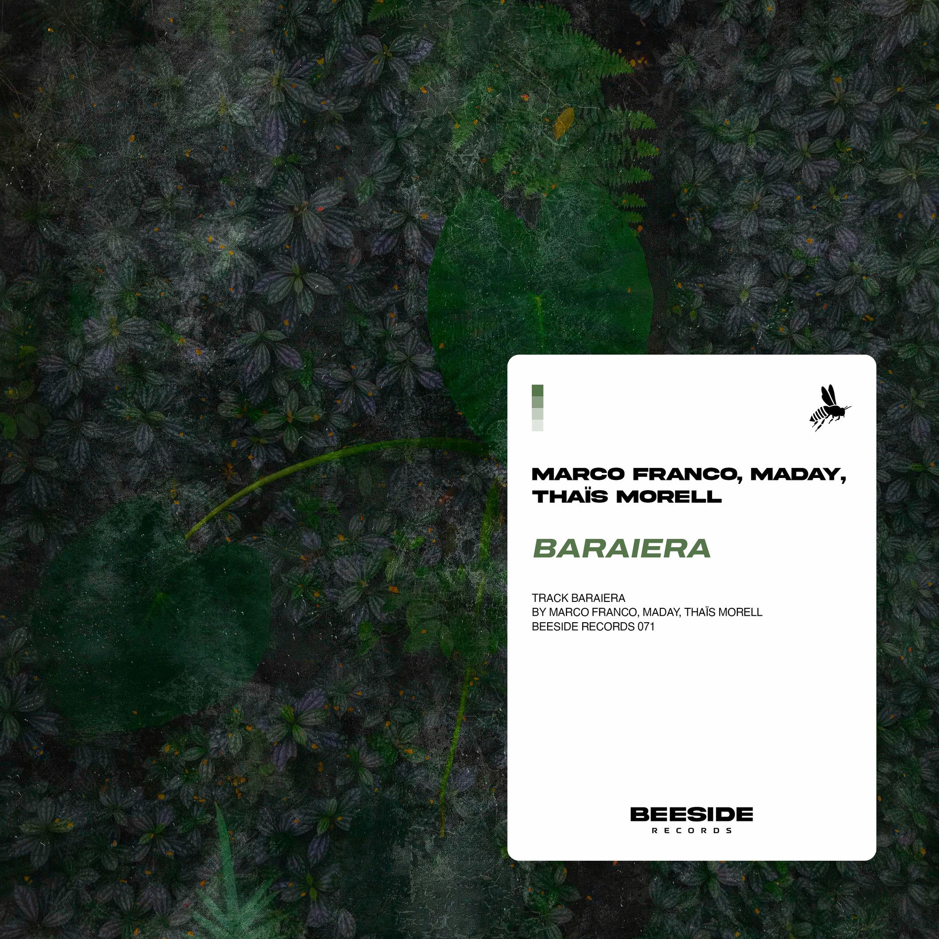 Album cover of Baraiera