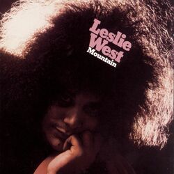 Cover of Mountain