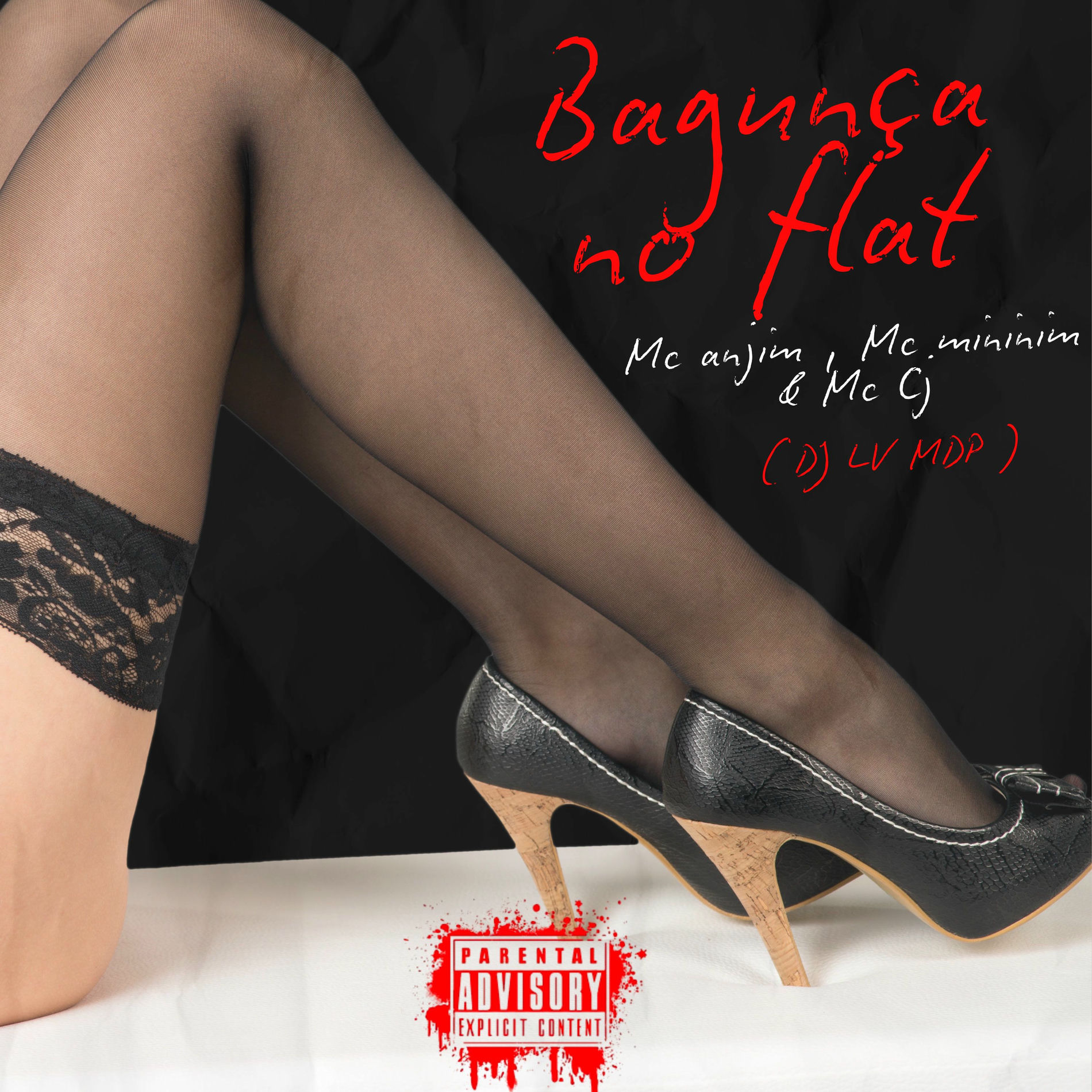 Album cover of Bagunça no Flat