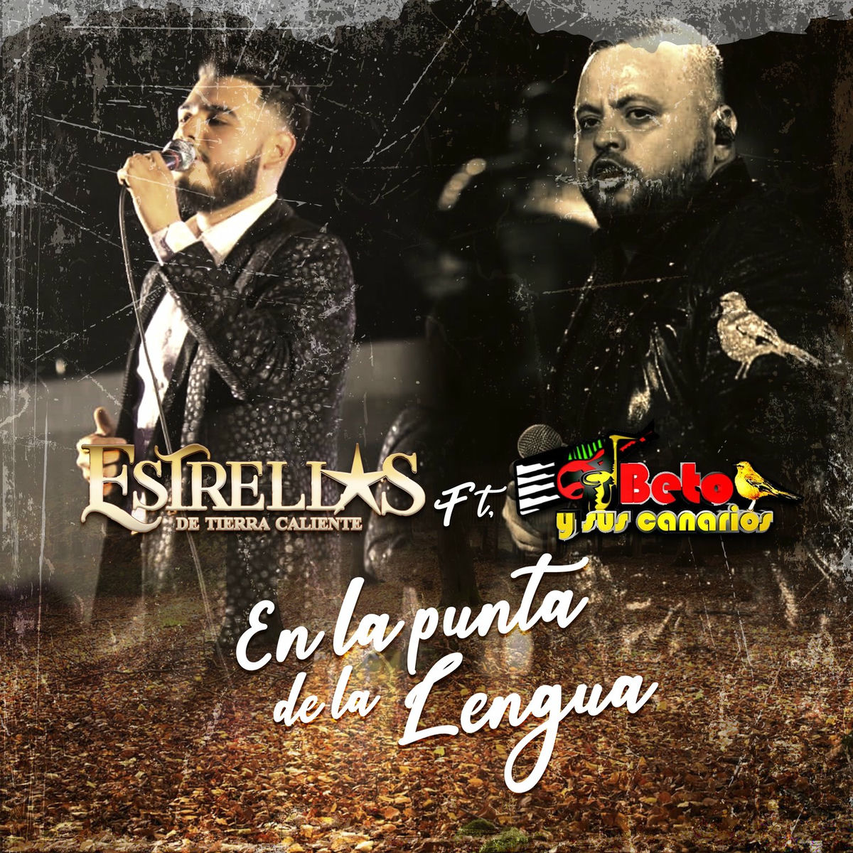Album cover of En la Punta de la Lengua