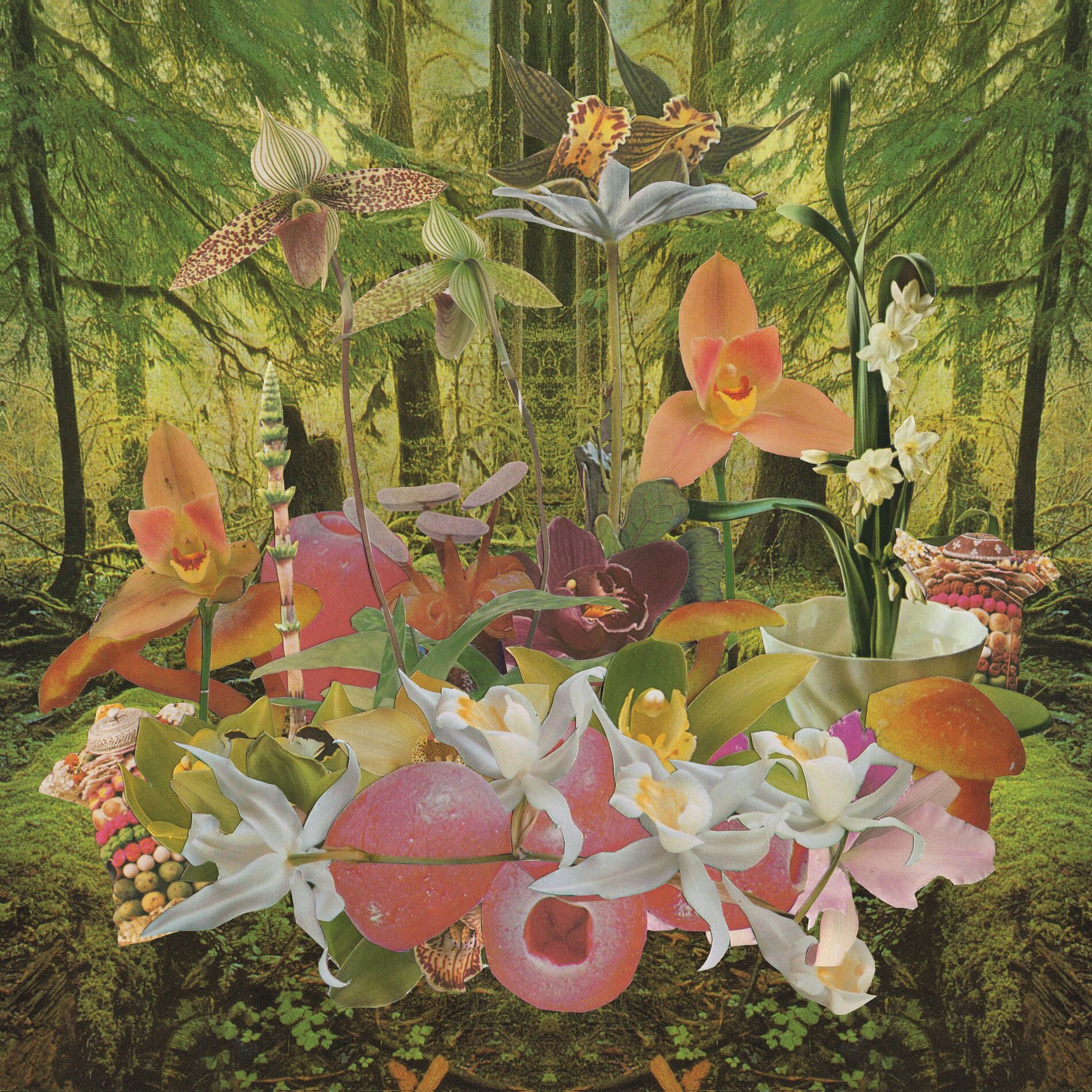Album cover of Baja Samba