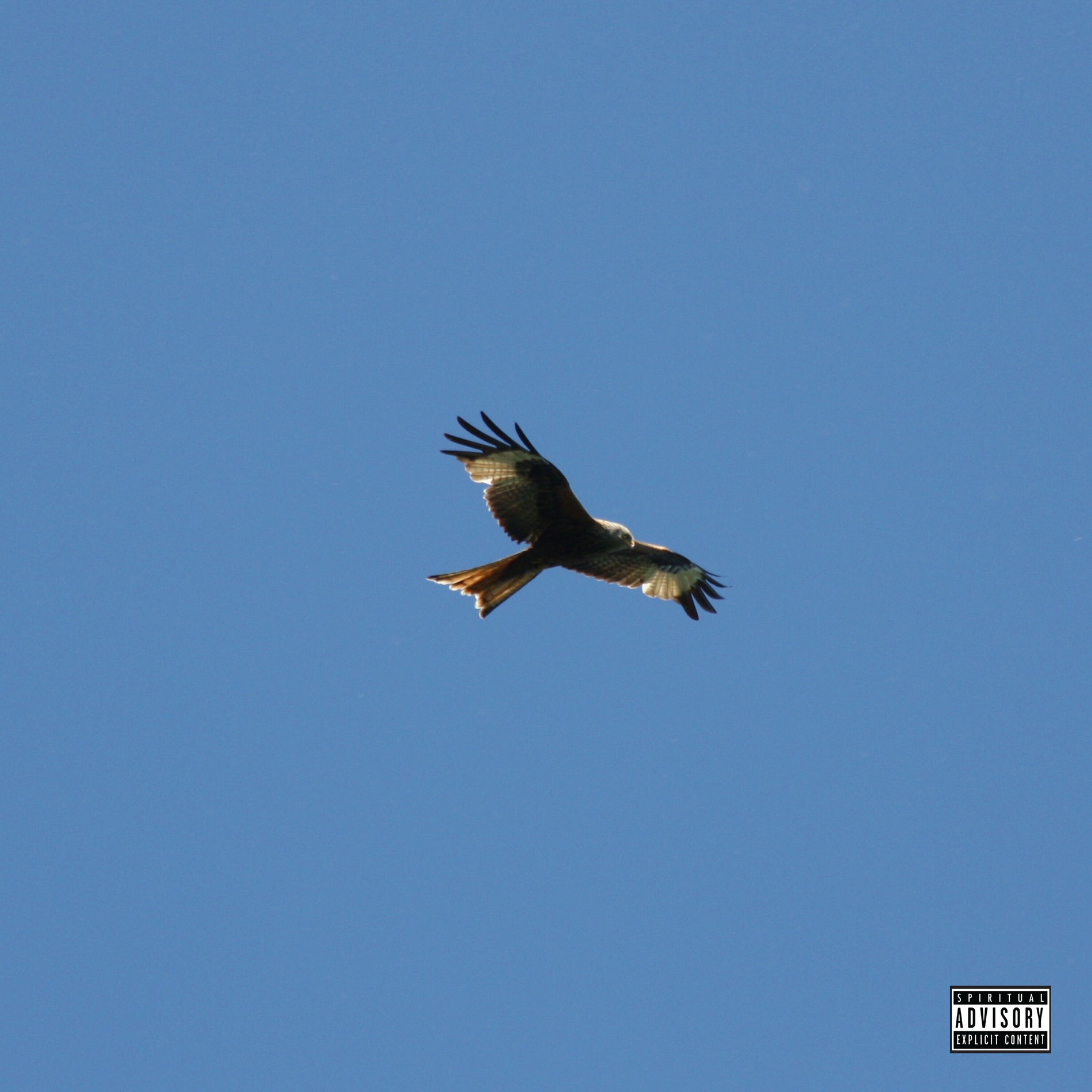 Album cover of Only2U