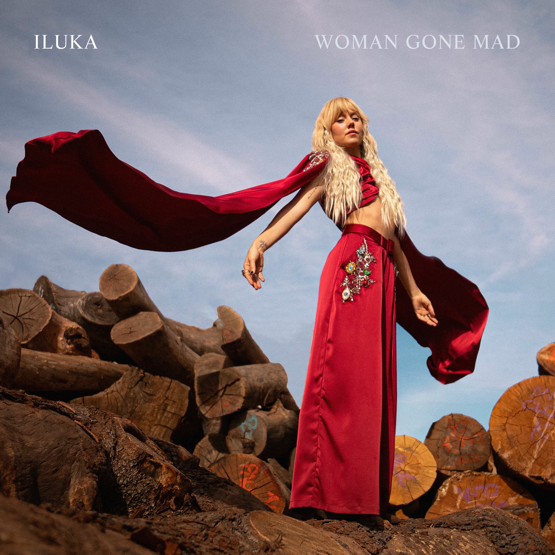 Album cover of Woman Gone Mad