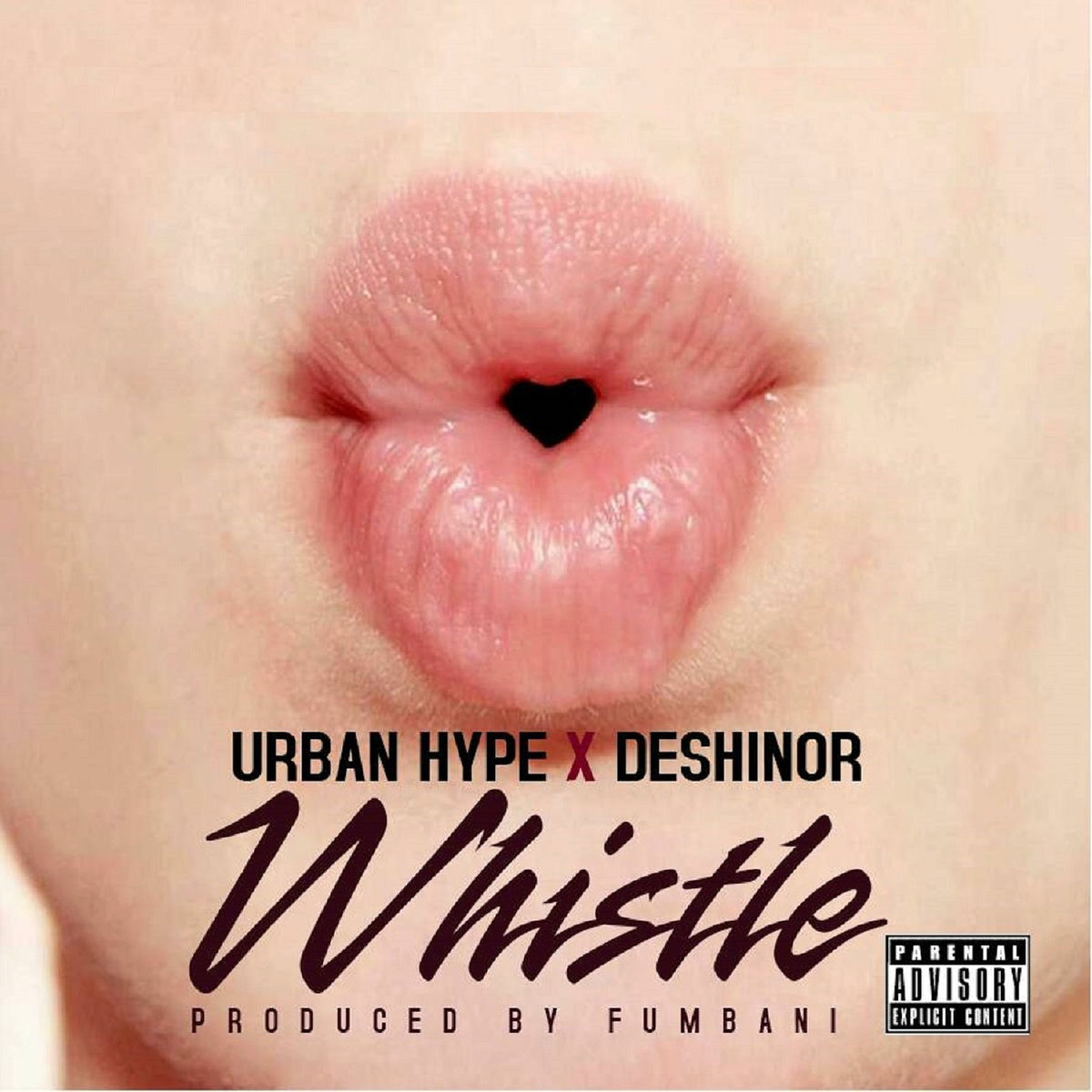 Album cover of Whistle