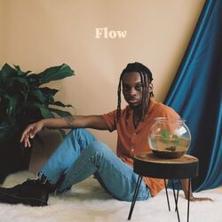Cover of Flow
