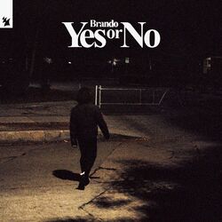 Cover of Yes or No