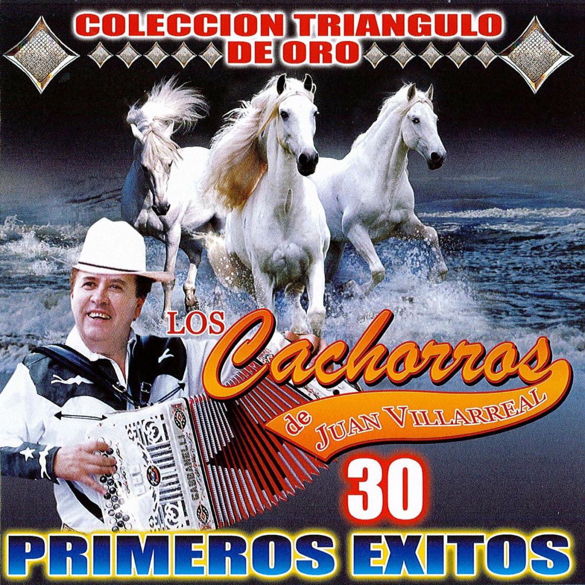 Album cover of Picame Tarantula