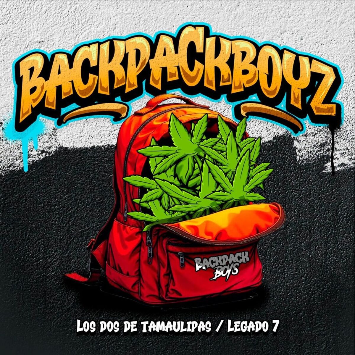 Album cover of BackPackBoyz