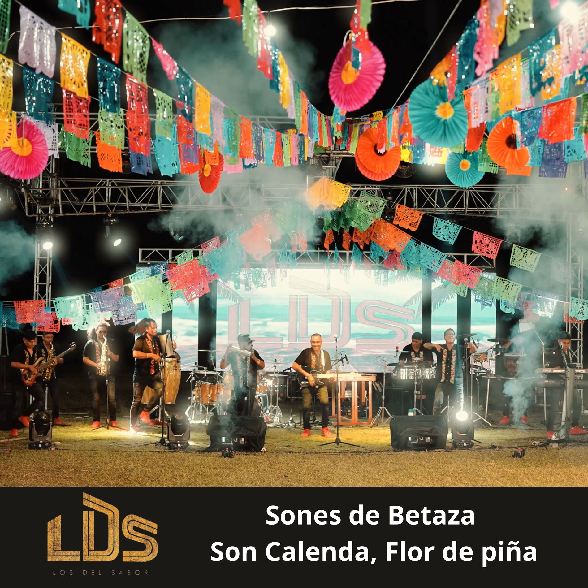 Album cover of Sones de Betaza, Son Calenda, Flor de Piña