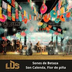 Sones de Betaza, Son Calenda, Flor de Piña