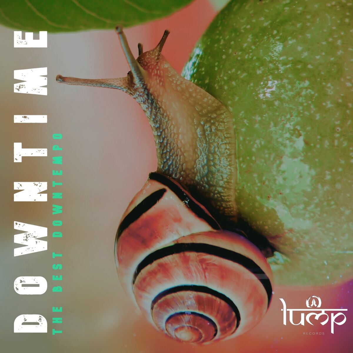 Album cover of Downtime