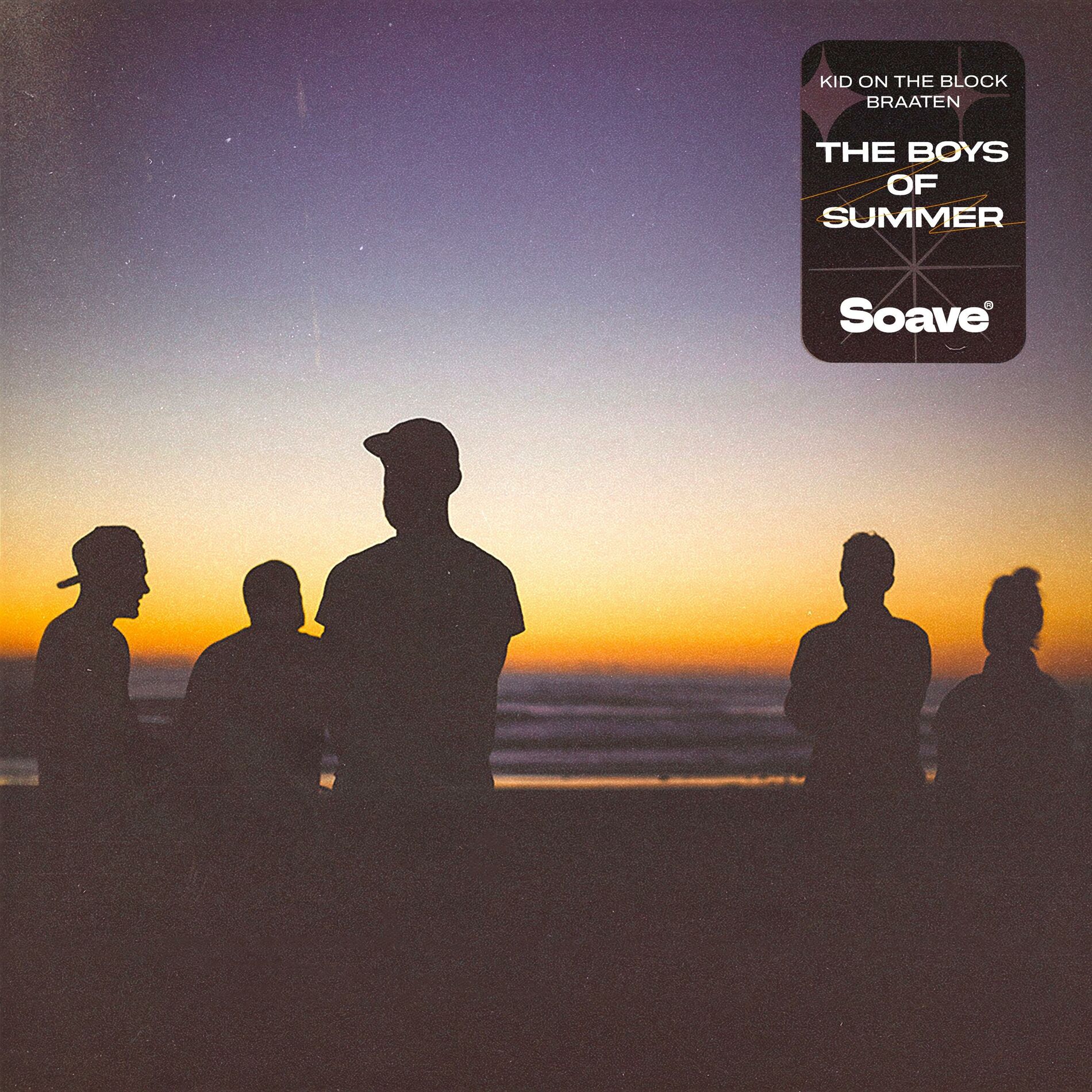 Album cover of The Boys Of Summer