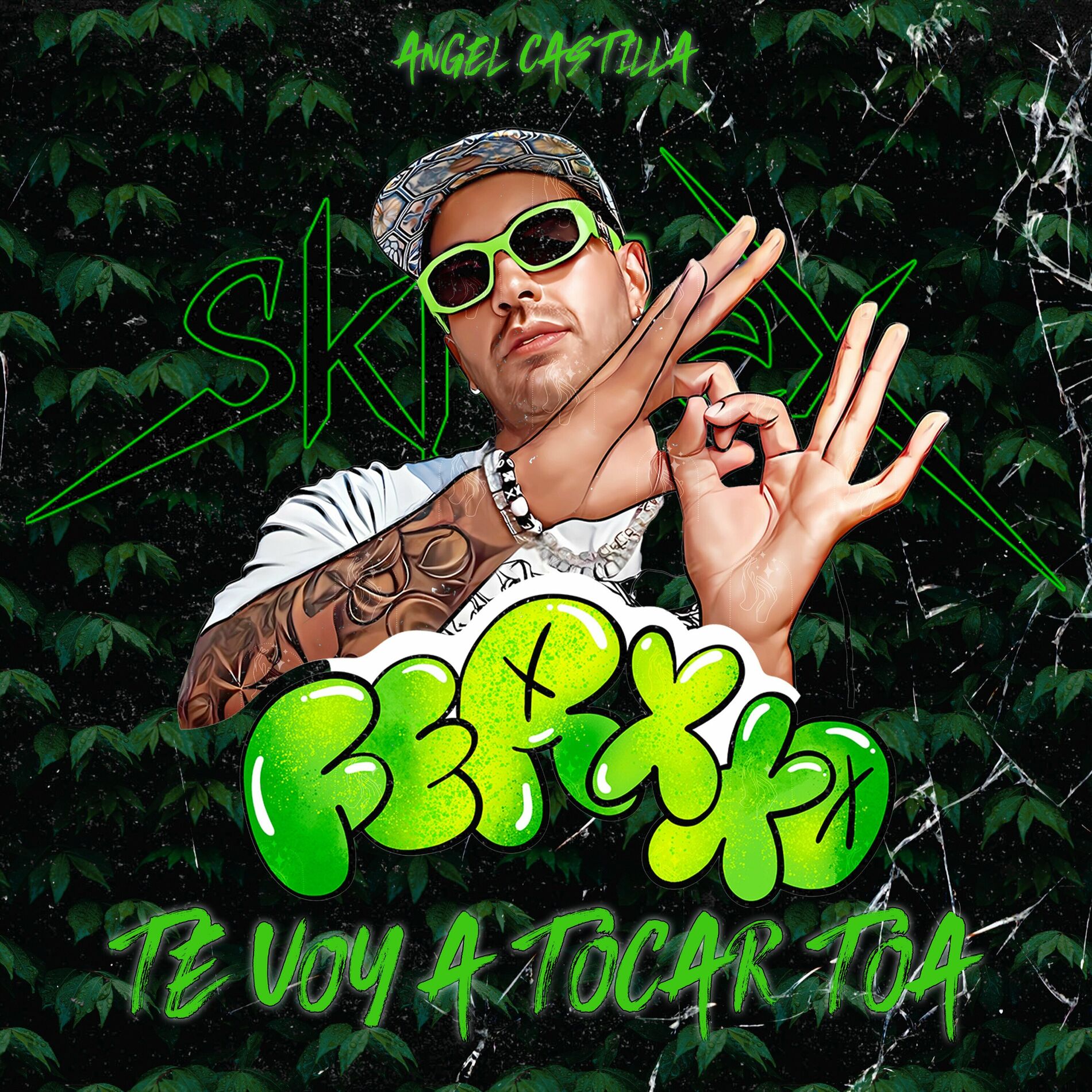Album cover of Te Voy a Tocar Toa