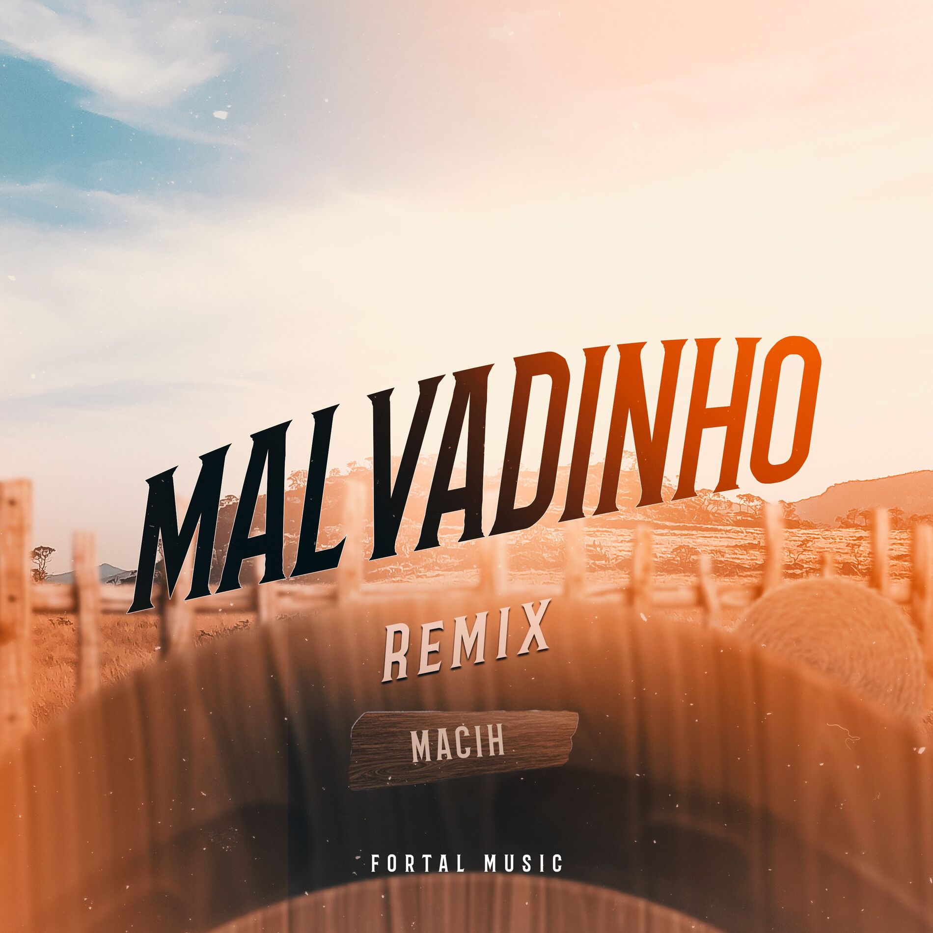 Album cover of MALVADINHO (Remix)