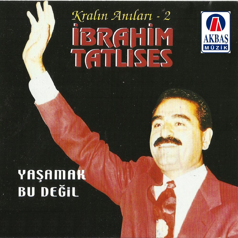 Picture of Yaşamak bu değil