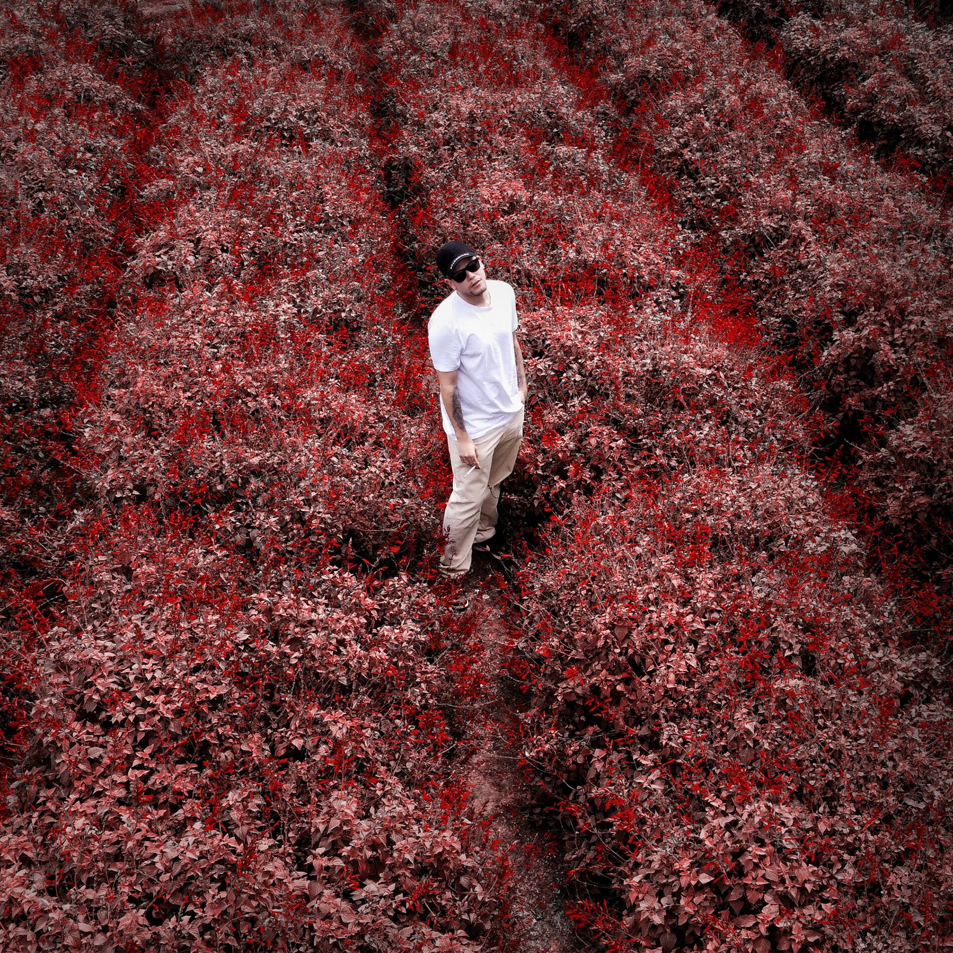 Album cover of Magia