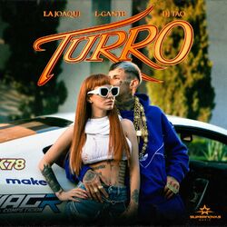 Cover of Turro