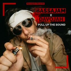 Cover of Pull Up the Sound