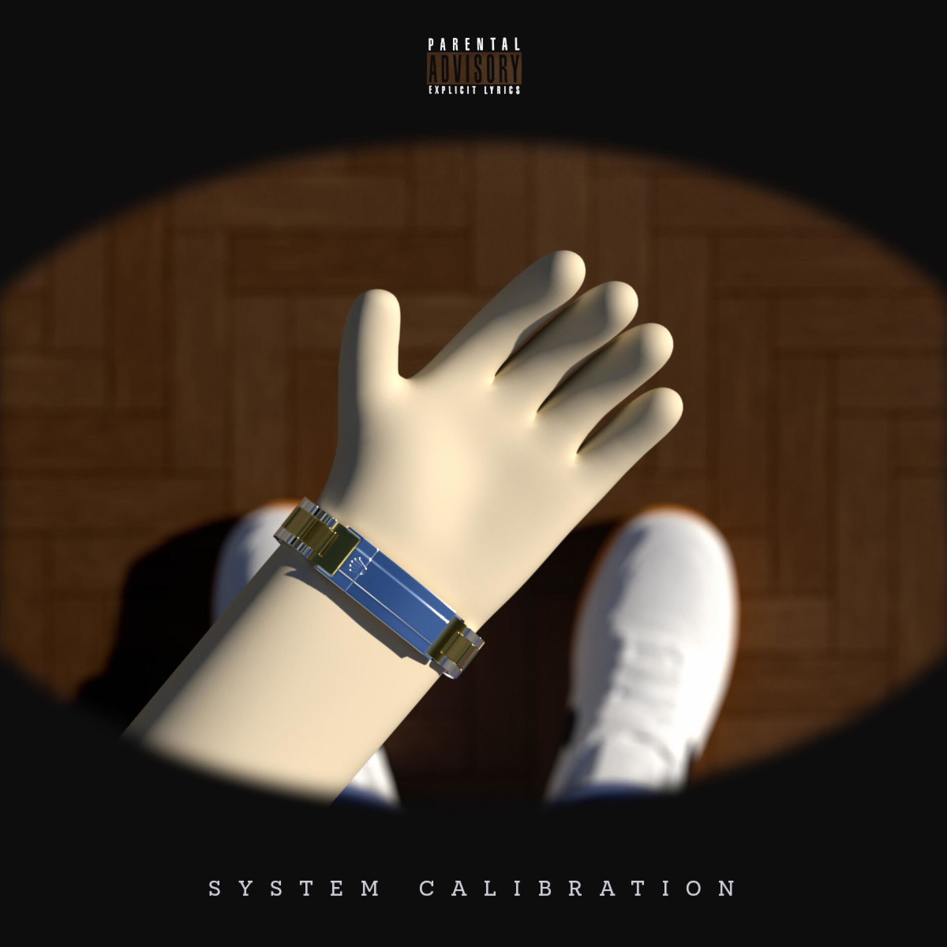Album cover of System Calibration