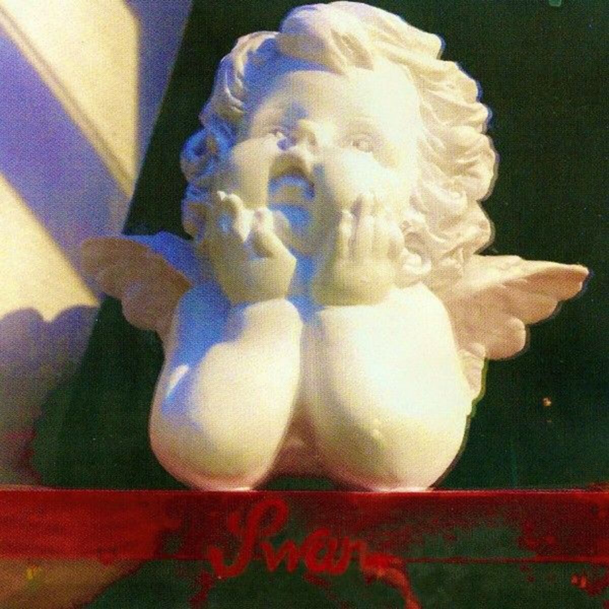 Album cover of Swan