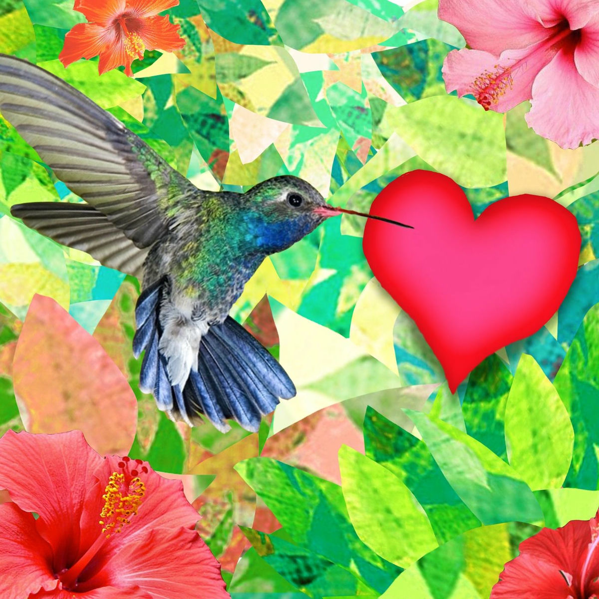 Album cover of Magdalena Mariposa