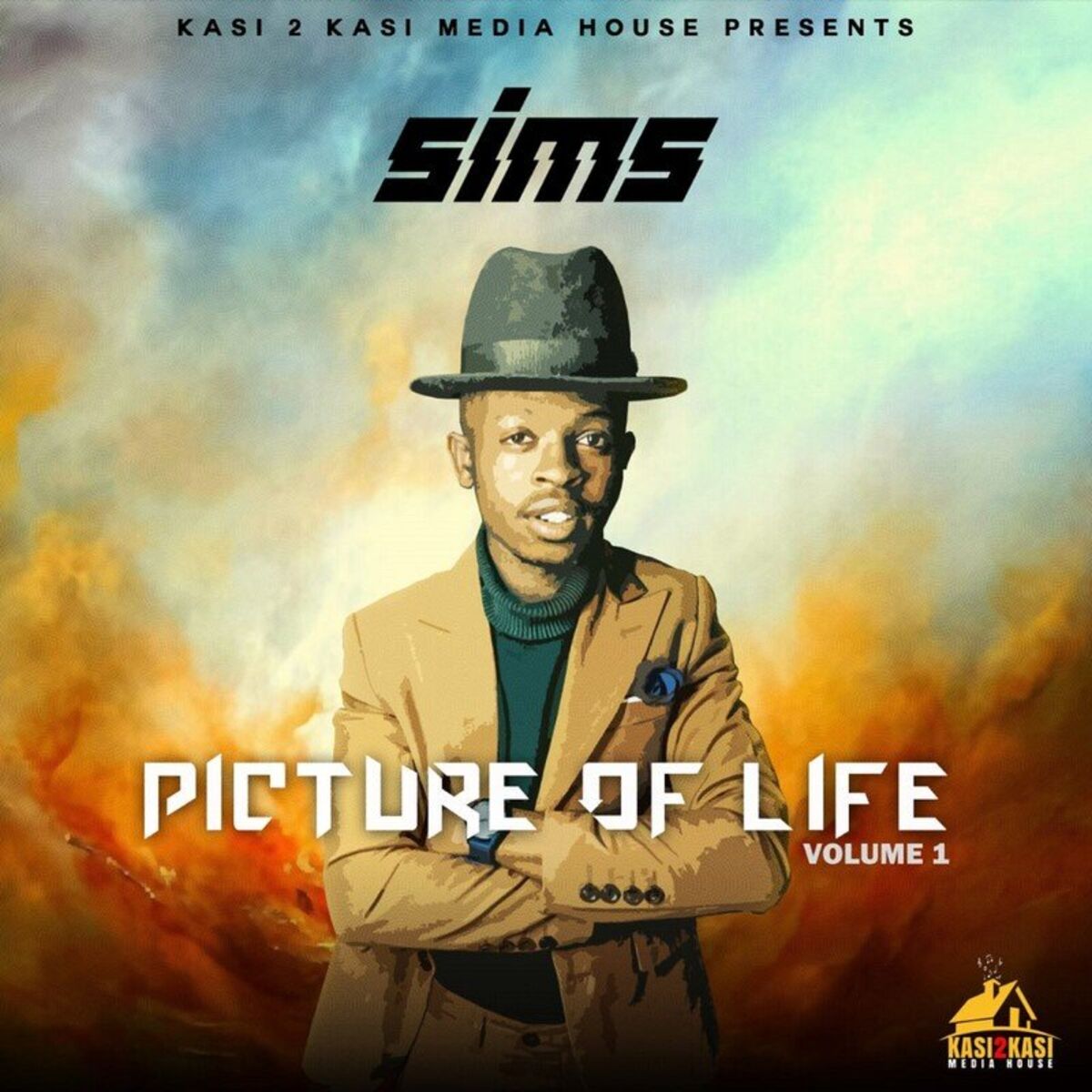 Album cover of Picture of Life, Vol. 1