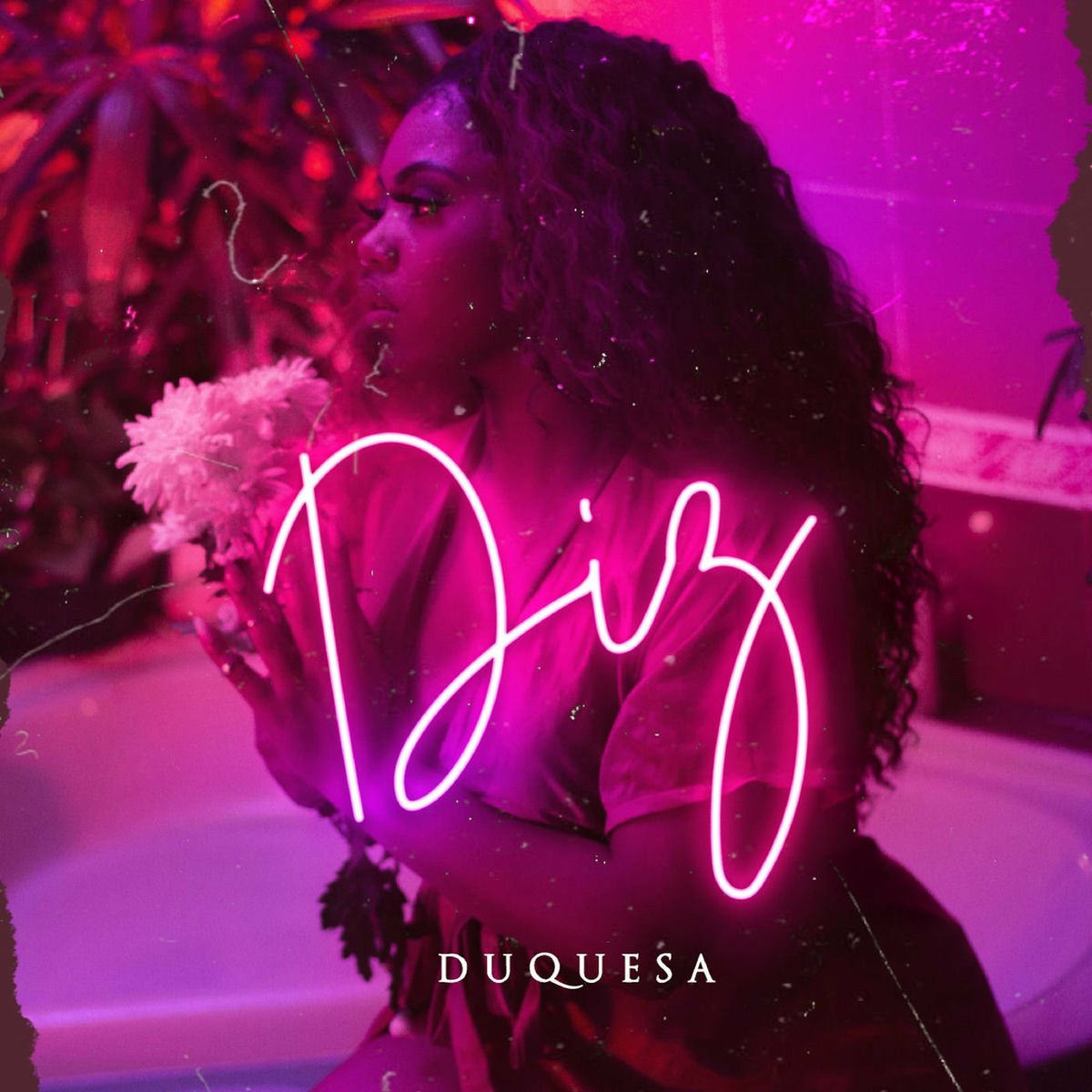 Album picture of Diz