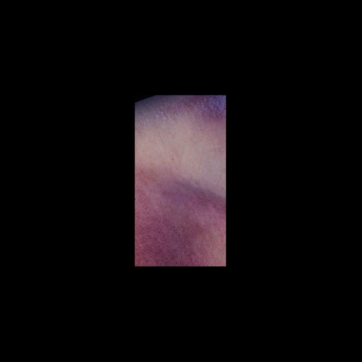 Album cover of Cuidados Violentos