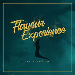 Cover of Flavour Experience (Love Songs) Vol.1 (Acoustic)