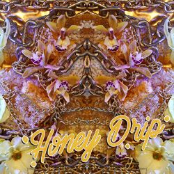 Cover of Honey Drip