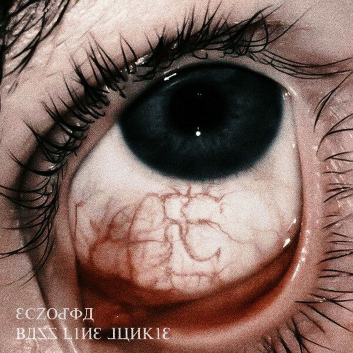Album cover of Bassline Junkie