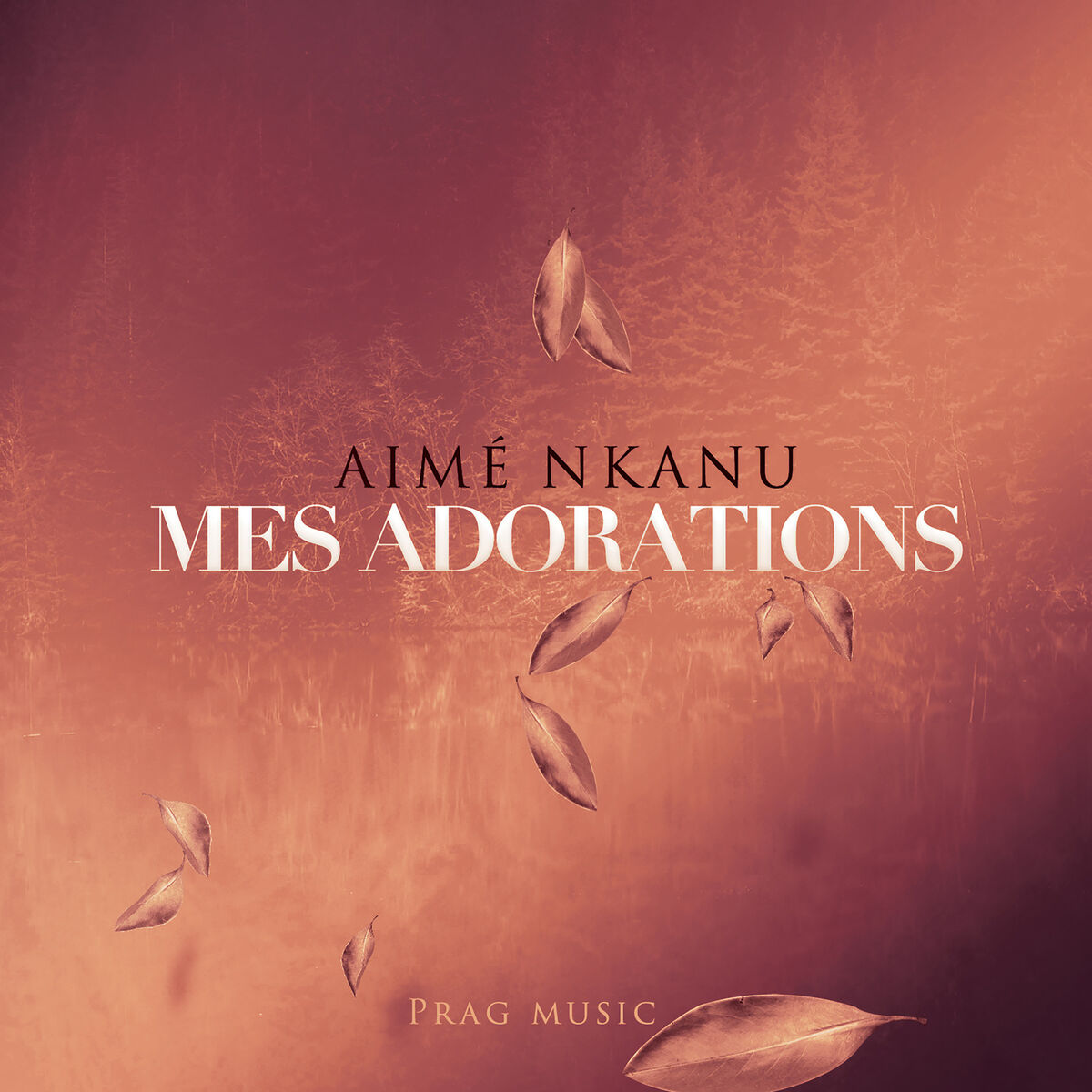Album cover of Mes Adorations
