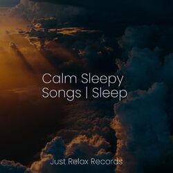 Cover of Calm Sleepy Songs | Sleep