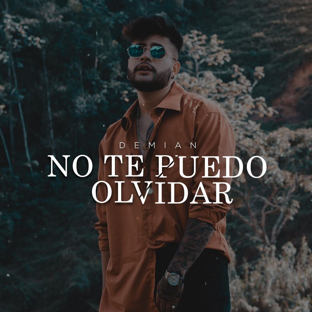Picture of No Te Puedo Olvidar