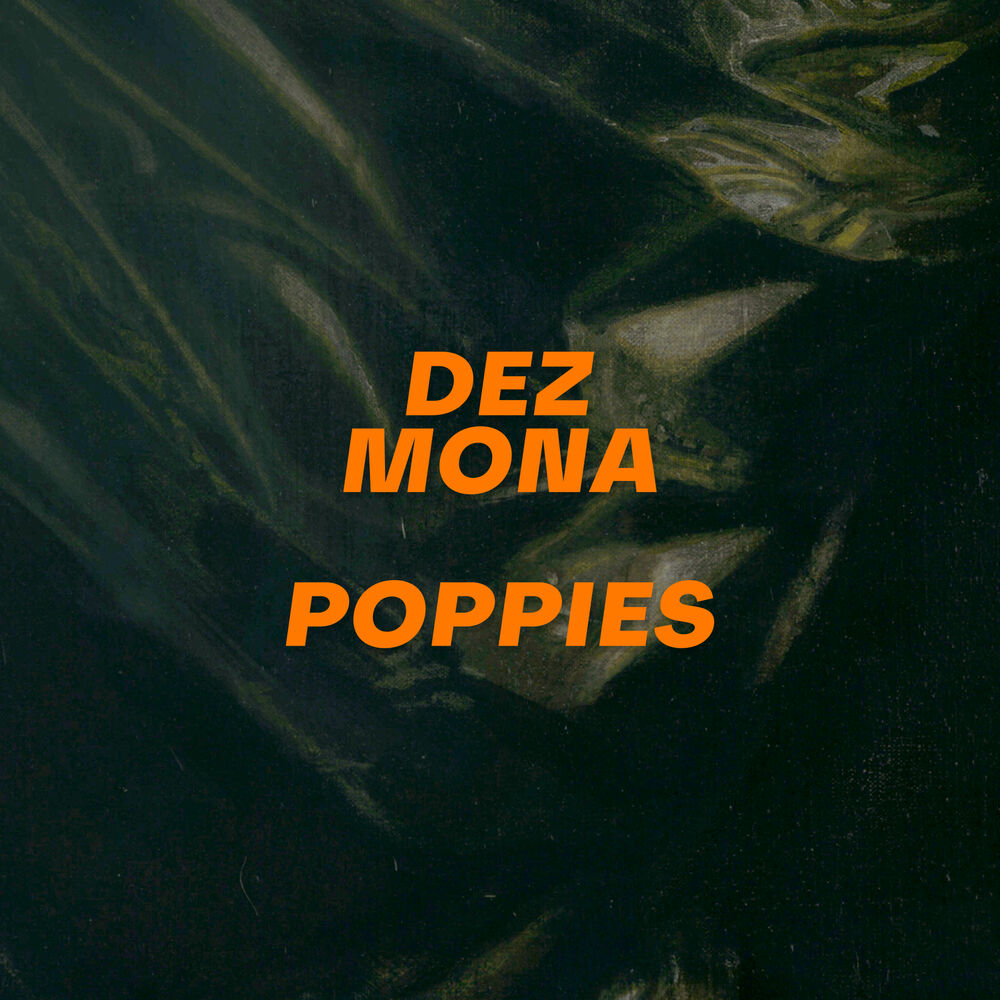 Picture of Poppies