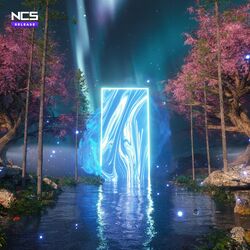 Cover of Illusion