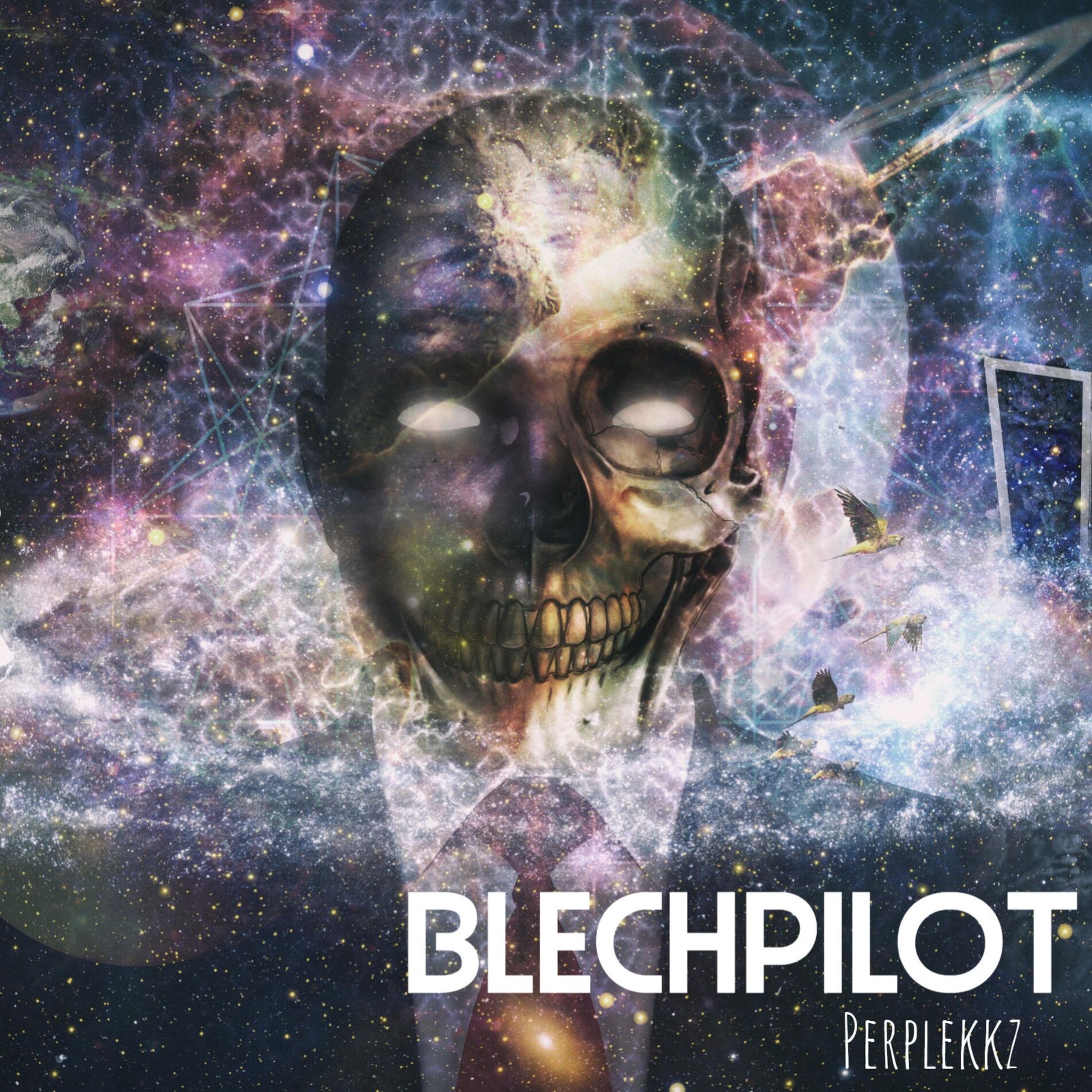 Album cover of Blechpilot (feat. Perplekkz)