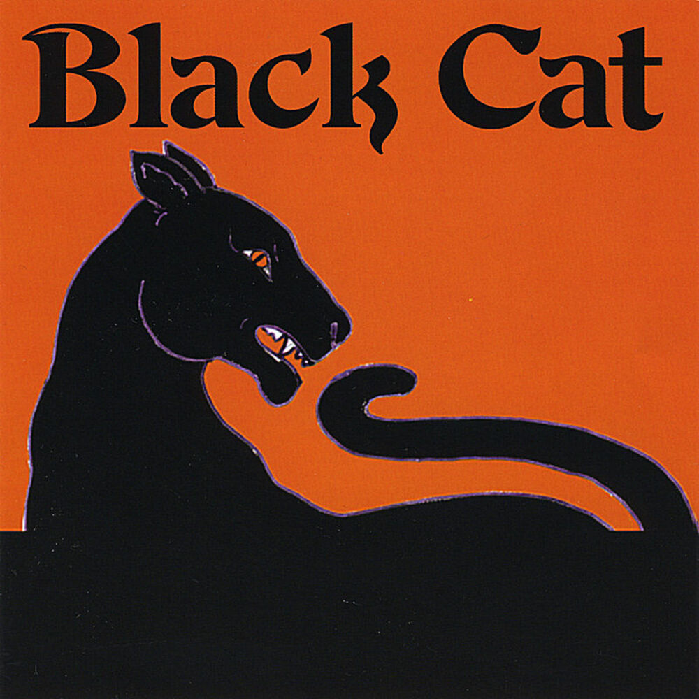 Picture of Black Cat