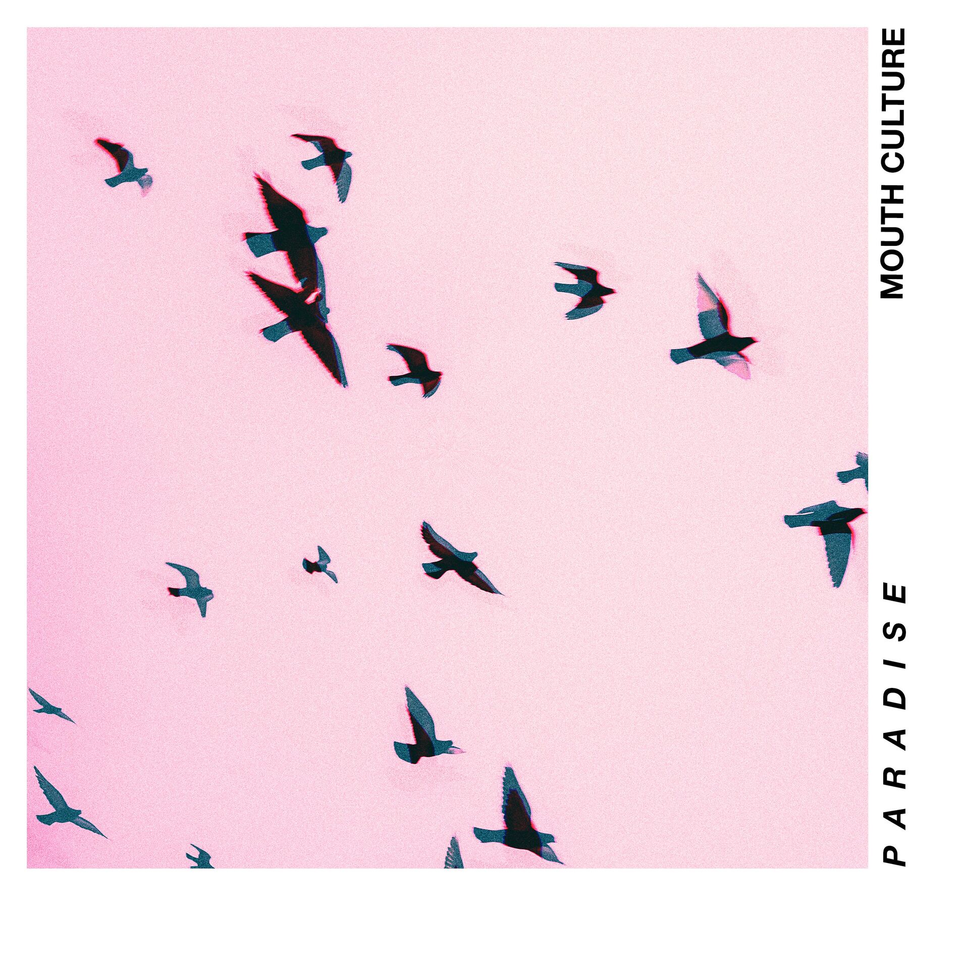 Album cover of Paradise