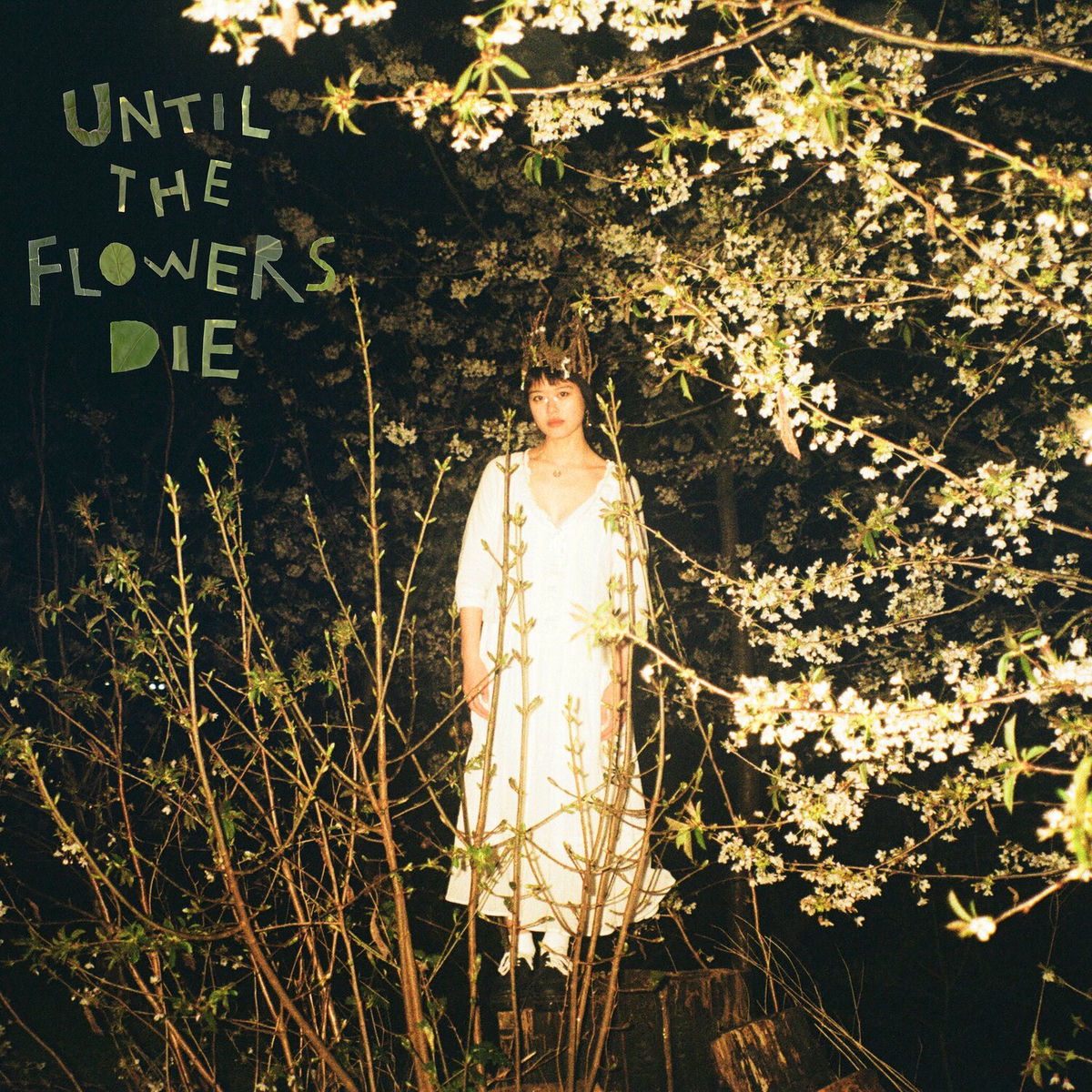 Album cover of until the flowers die